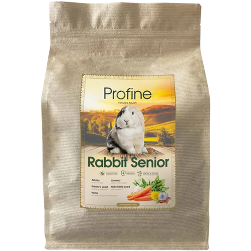 Animals Rabbit Senior