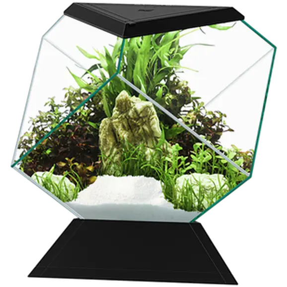 Aquarium Nexus