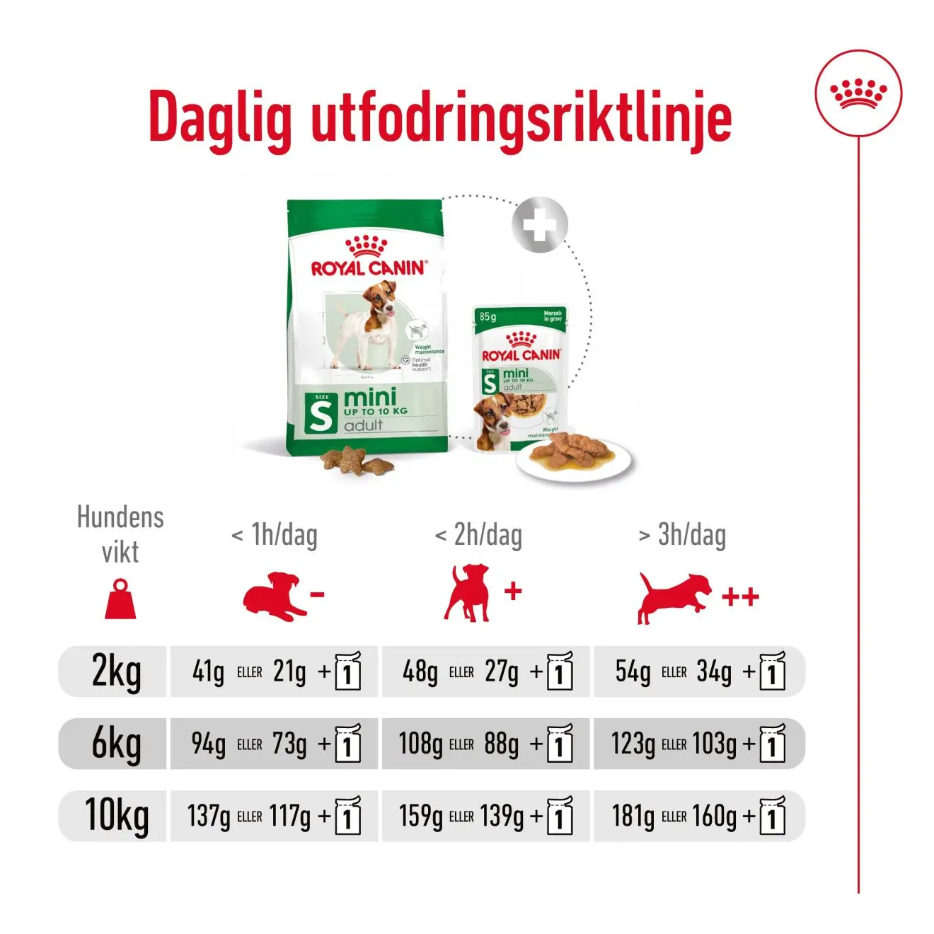 Mini Adult Torrfoder för hund