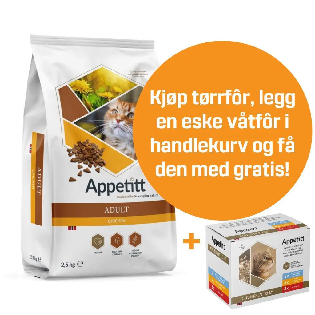 Cat Adult Kyckling