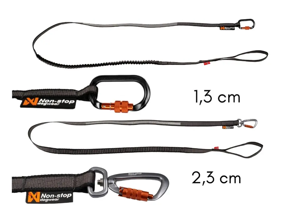 Touring bungee leash