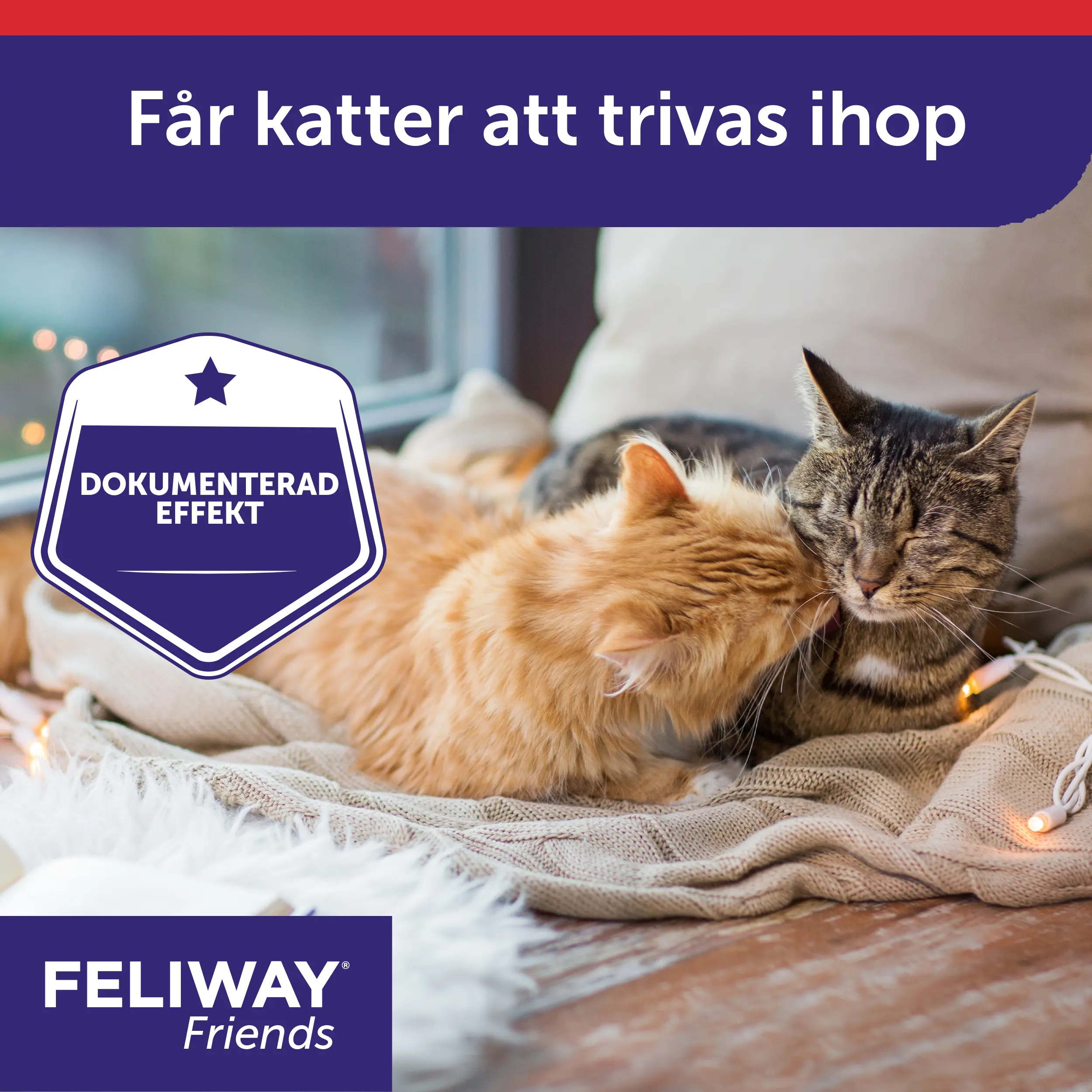 Friends Doftavgivare Diffuser