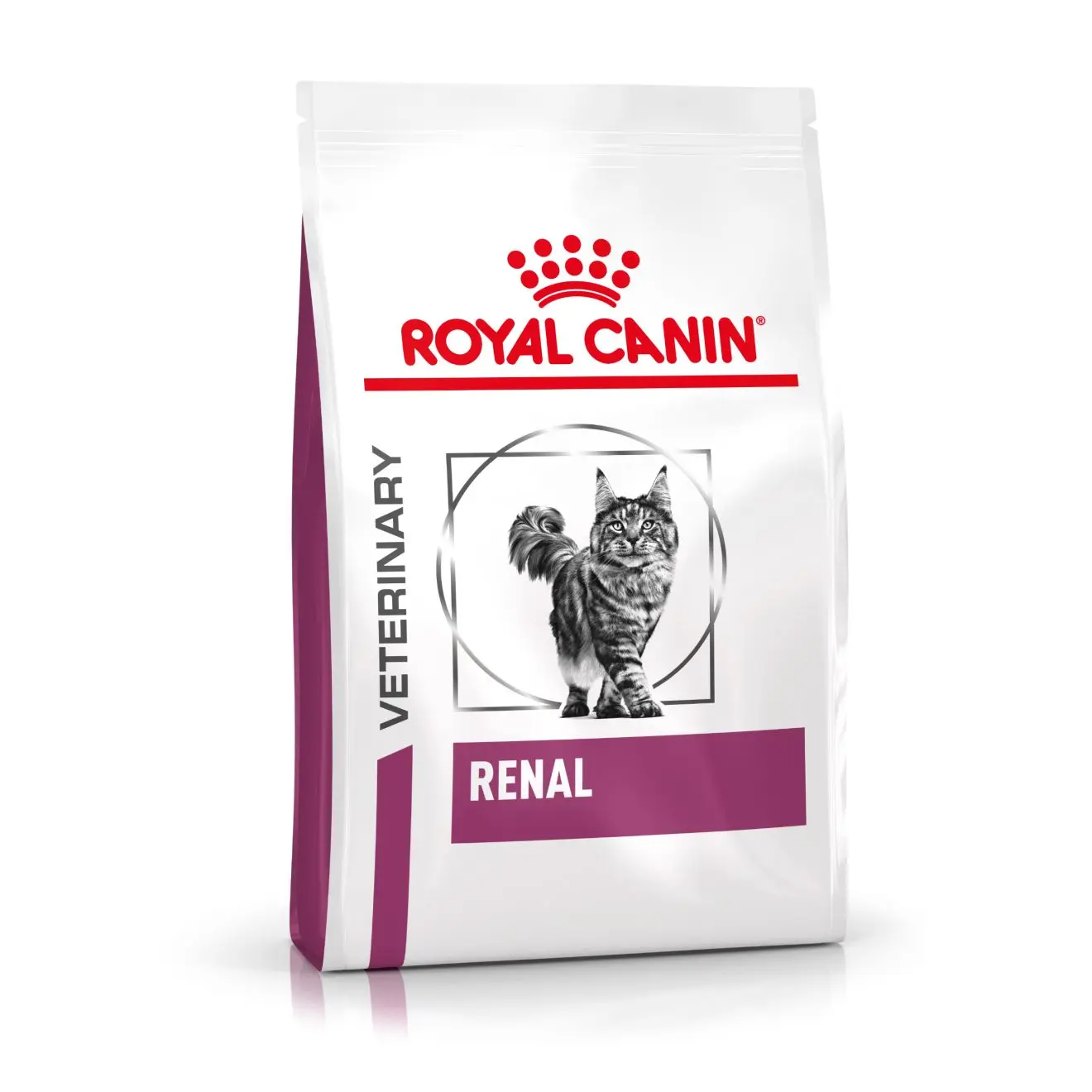 Renal Torrfoder för katt