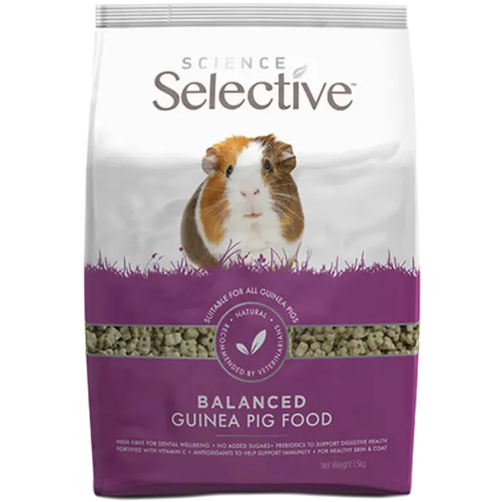 Science Selective Guinea Pig