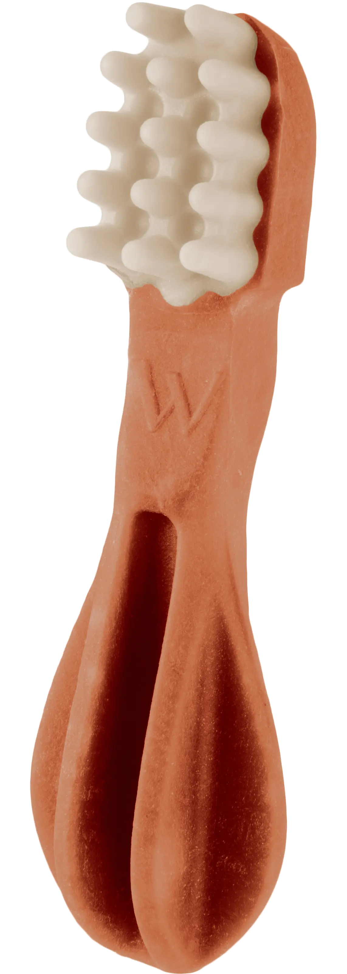 Toothbrush Veggie