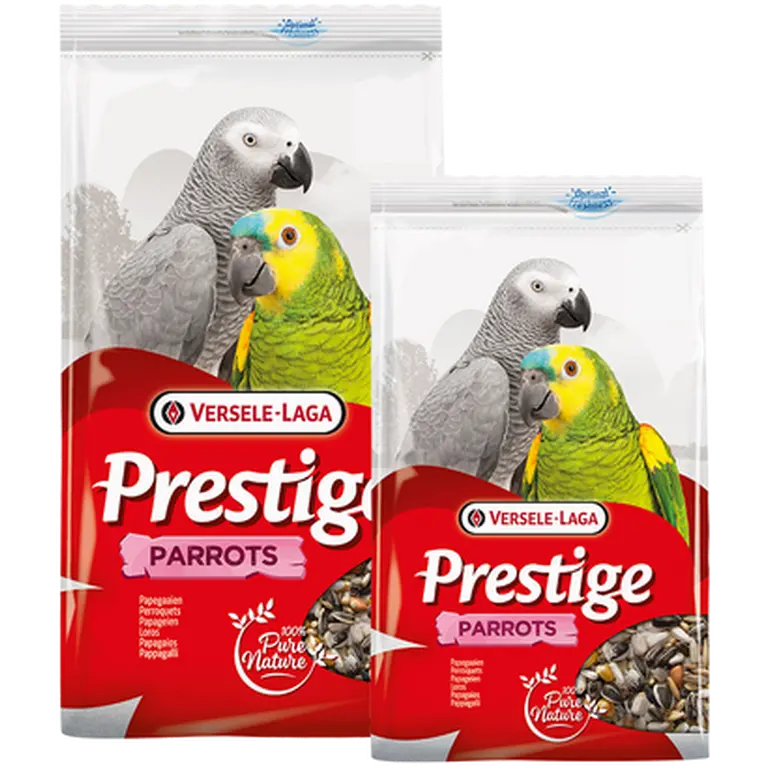 Prestige Parrot (Papegoja)