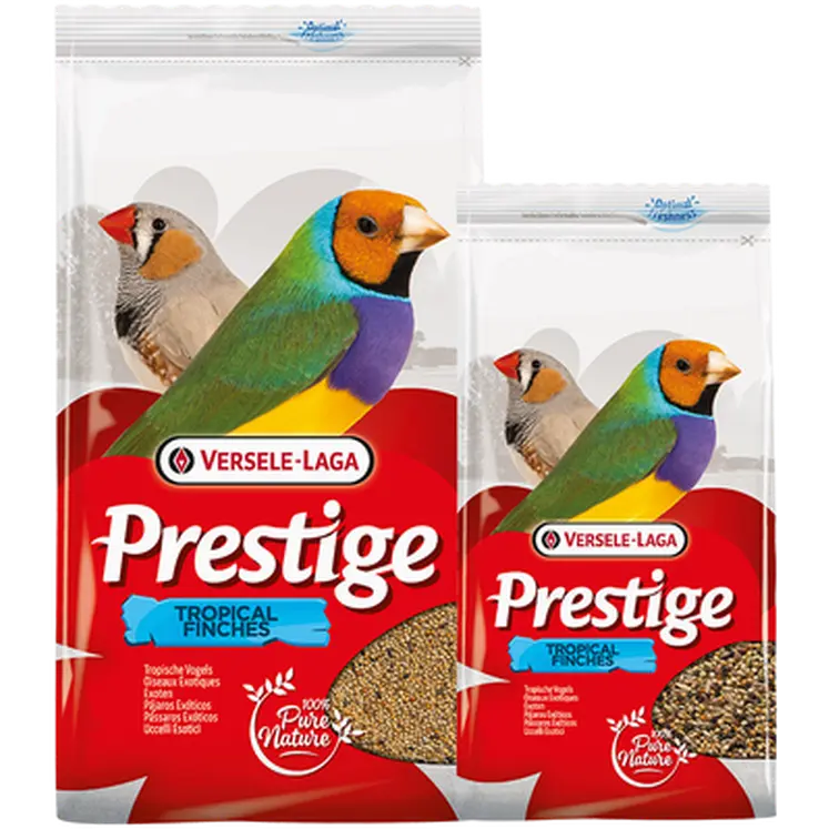 Prestige Tropical Finch (Fink)