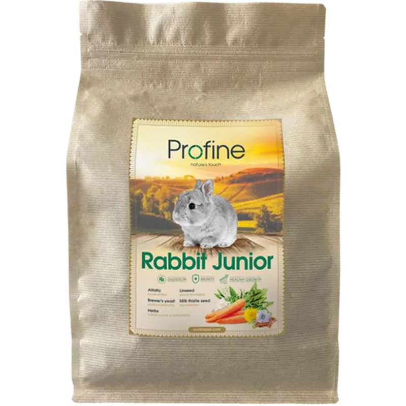Animals Rabbit Junior