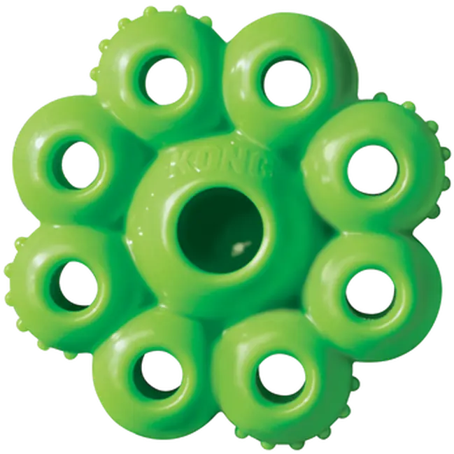 Quest Star pods Dog Toy