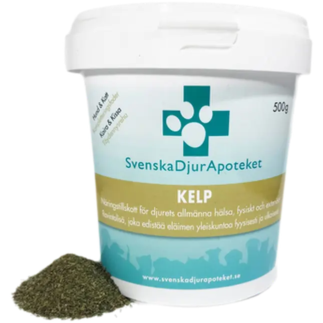 Kelp