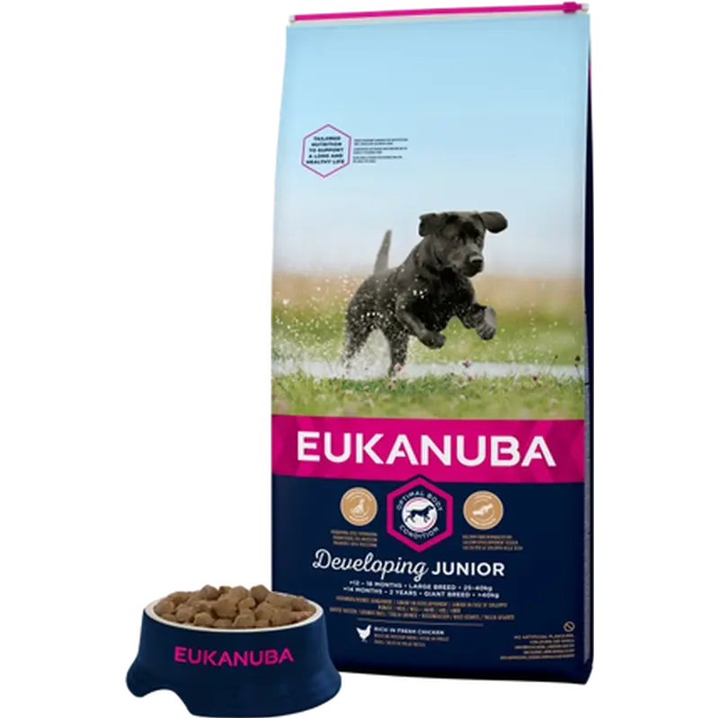 Dog Junior Large test