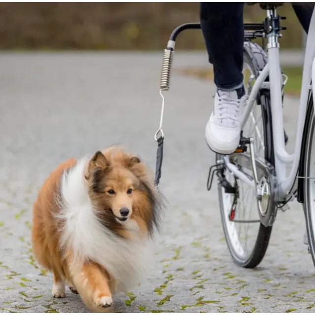 Friends On Tour Biker-Set Small-Medium Dogs