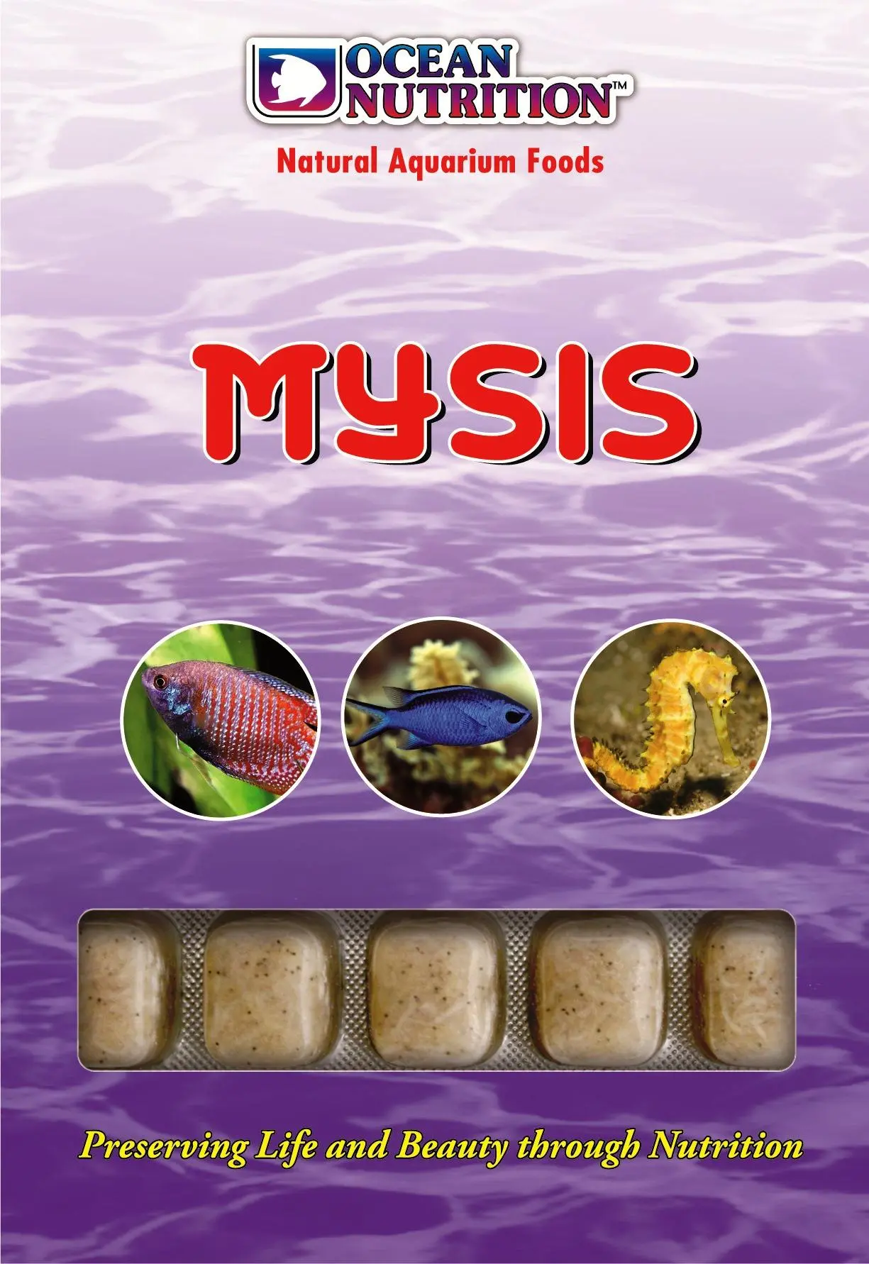 Frozen Mysis