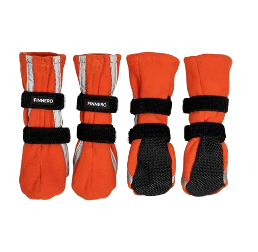 Hundsko Halla med reflex 4-Pack Orange