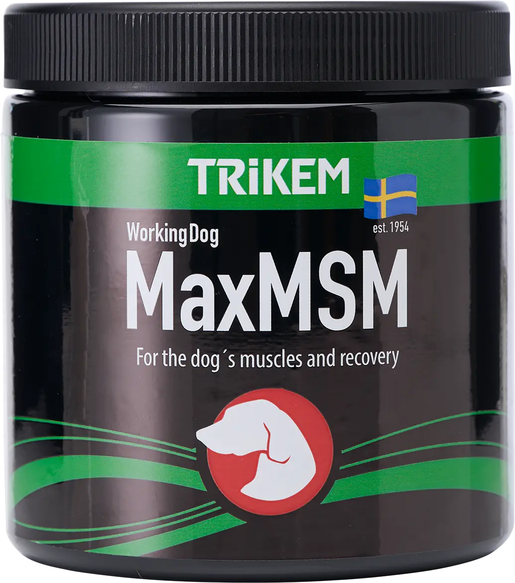 WorkingDog MaxMSM