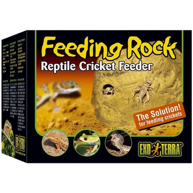Cricket Feeder - Reptile Feeding Rock