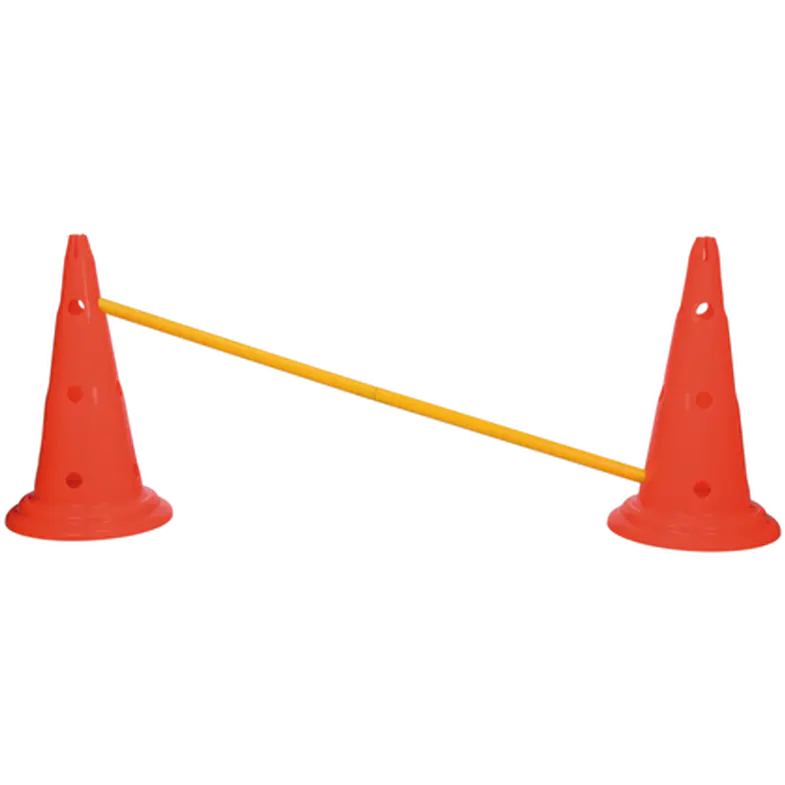 Dog Activity Obstacles set