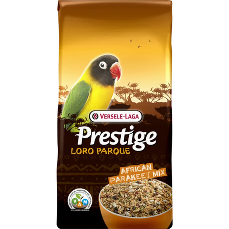 Prestige Premium African Parakeet