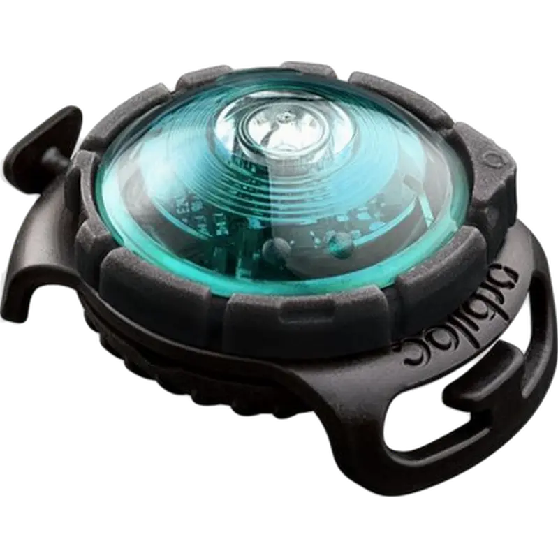 Safety Light Dog Dual LED - Hundlampa Turkos