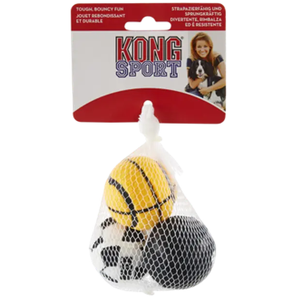 Sport Balls Dog Toy