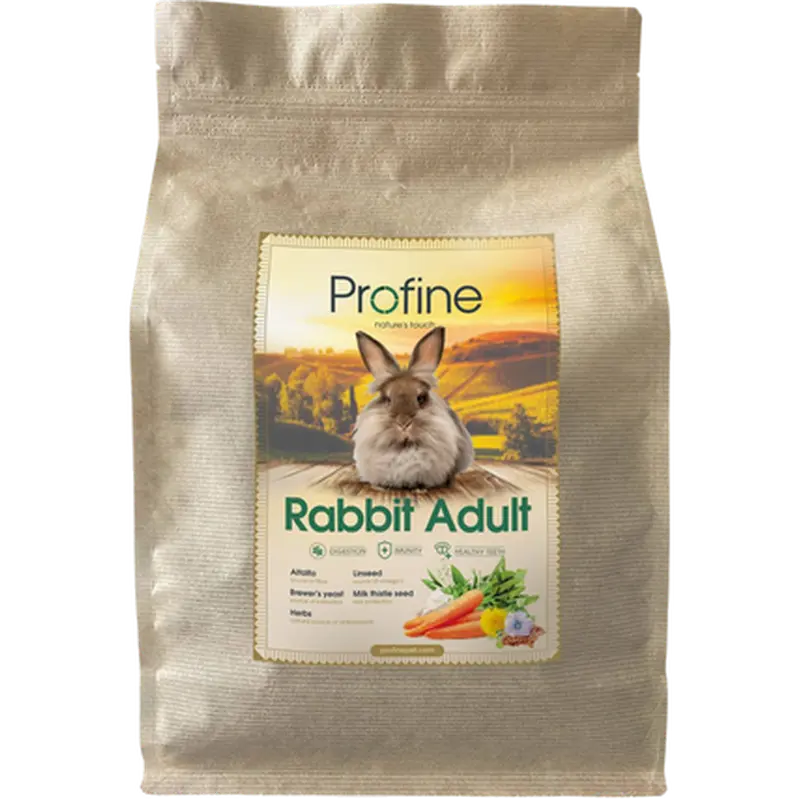 Animals Rabbit Adult