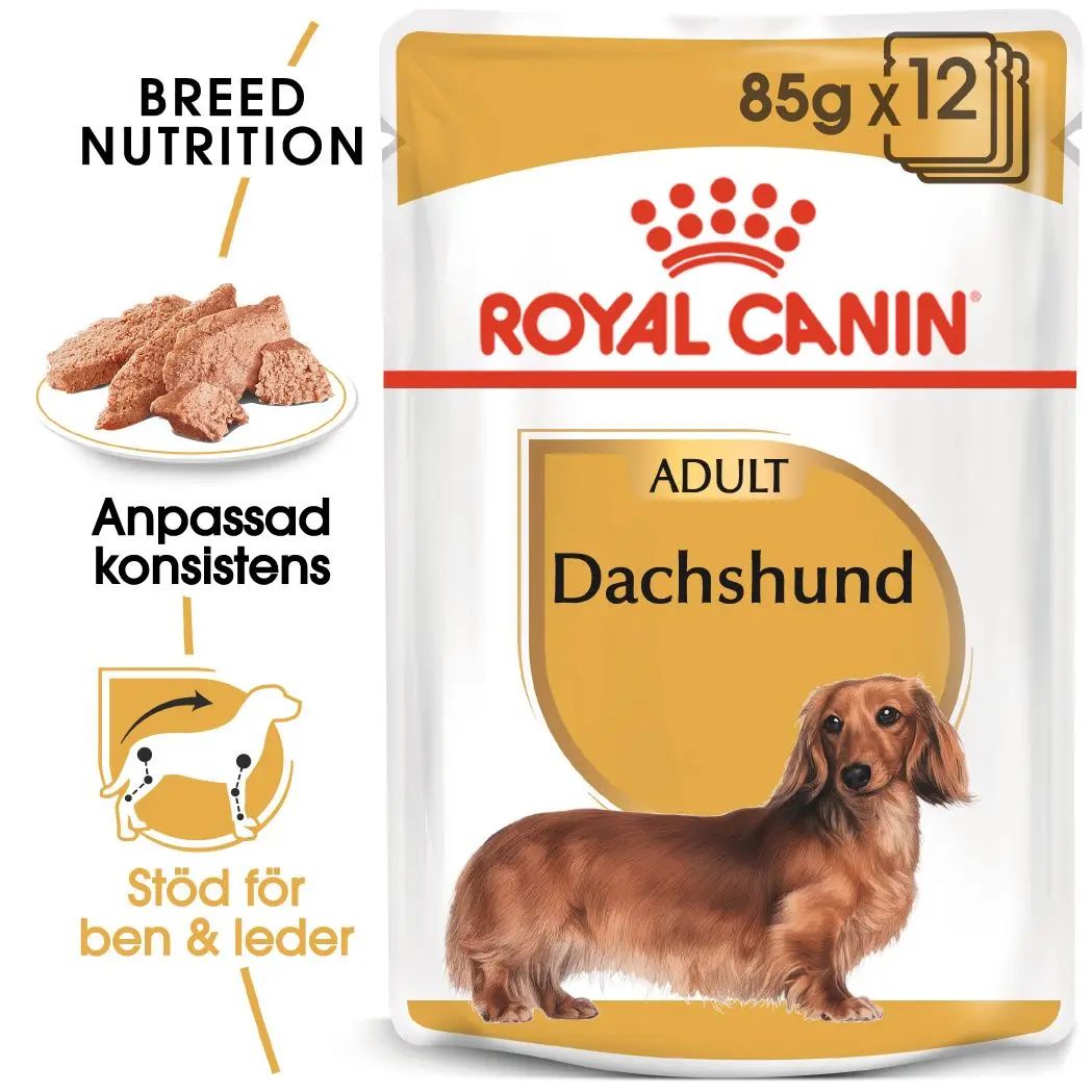 Dachshund Adult Våtfoder för hund