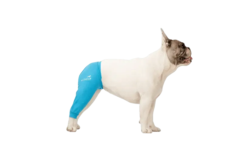 Leg Cover Rear Right