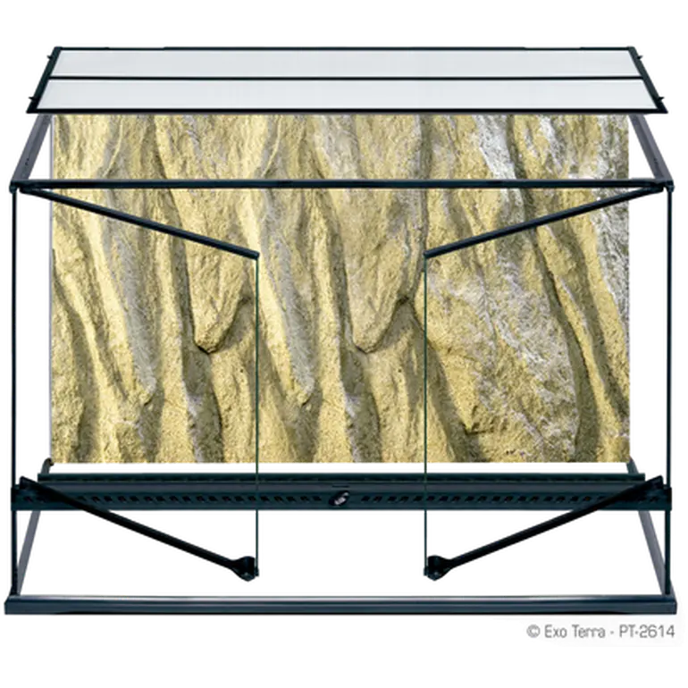 Glass Terrarium Natural Tall - Advanced Reptile Habitat