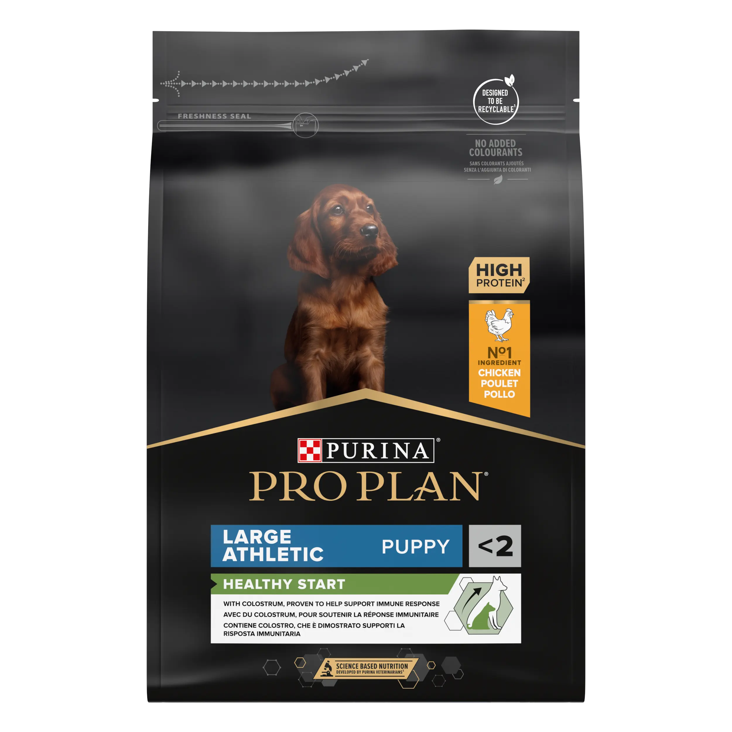 Large Athletic Puppy - HEALTHY START