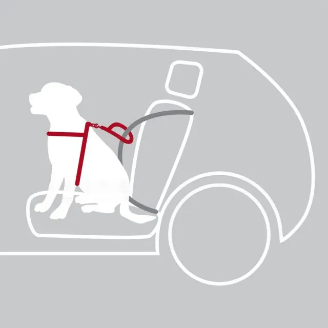 Bilsele Dog Protect (ny karbin)