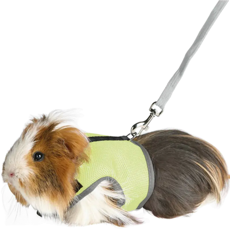 Soft Soft Harness with Leash Guniea Pig