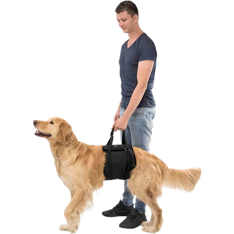 Lifting Aid