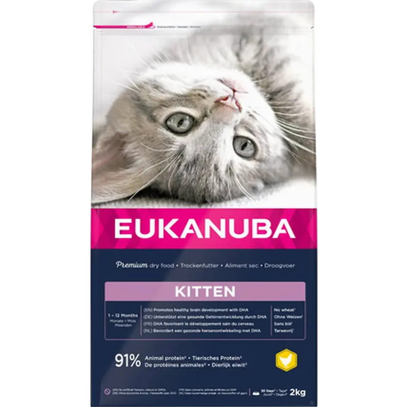 Cat Kitten Healthy Start