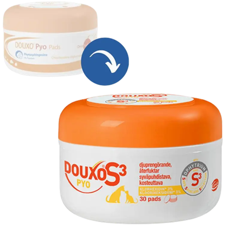Pyo Pads