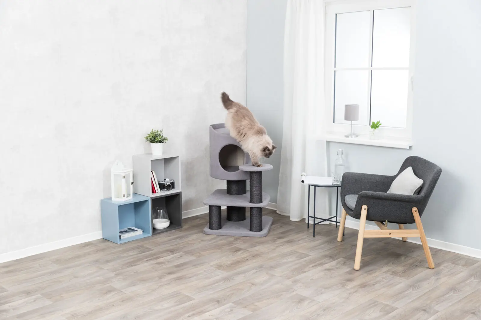 Tazio Scratching Post
