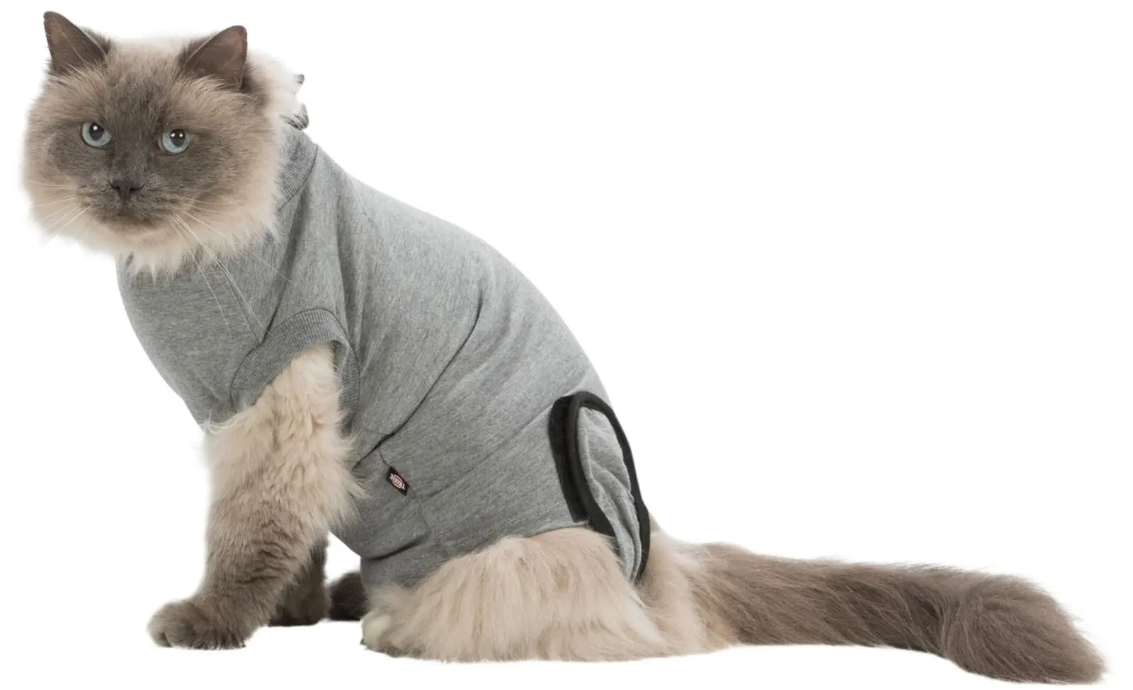 Skyddande body för katt