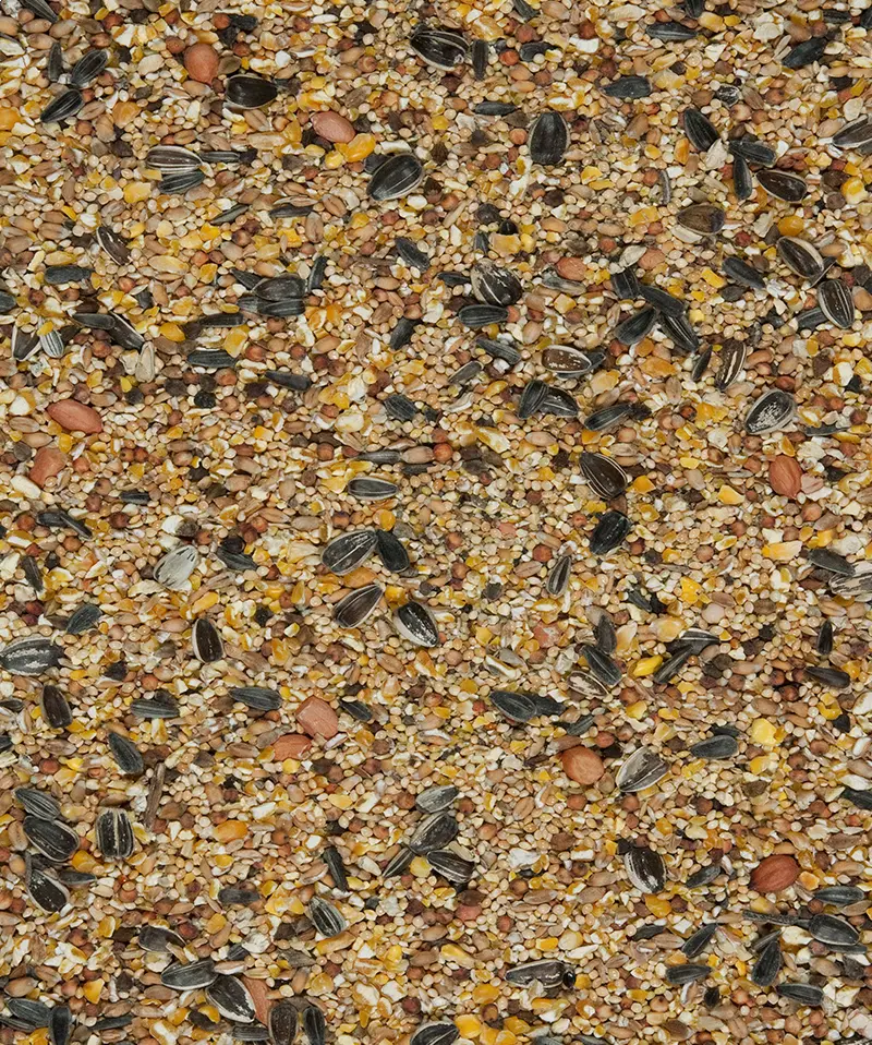 Menu Nature 4 Seasons Blend