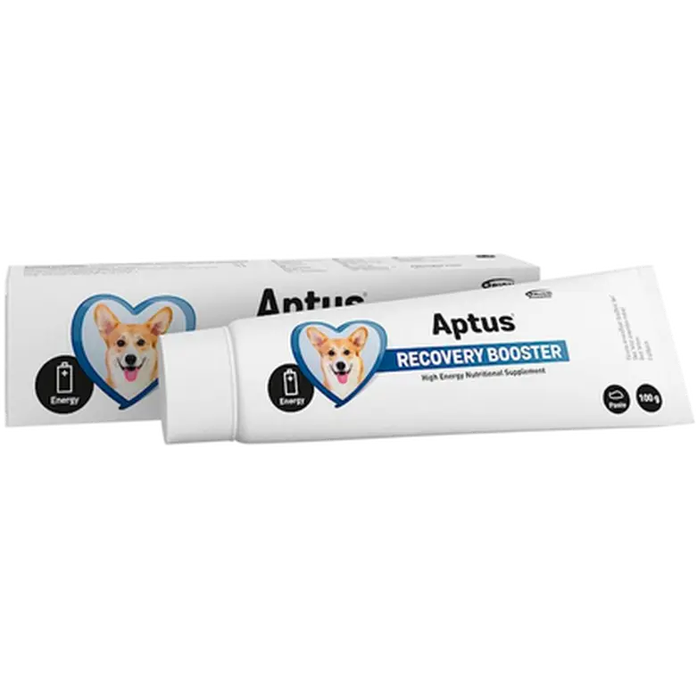 Recovery Boost Dog Pasta