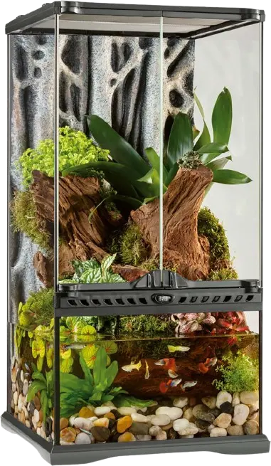 Terrarium/Paludarium