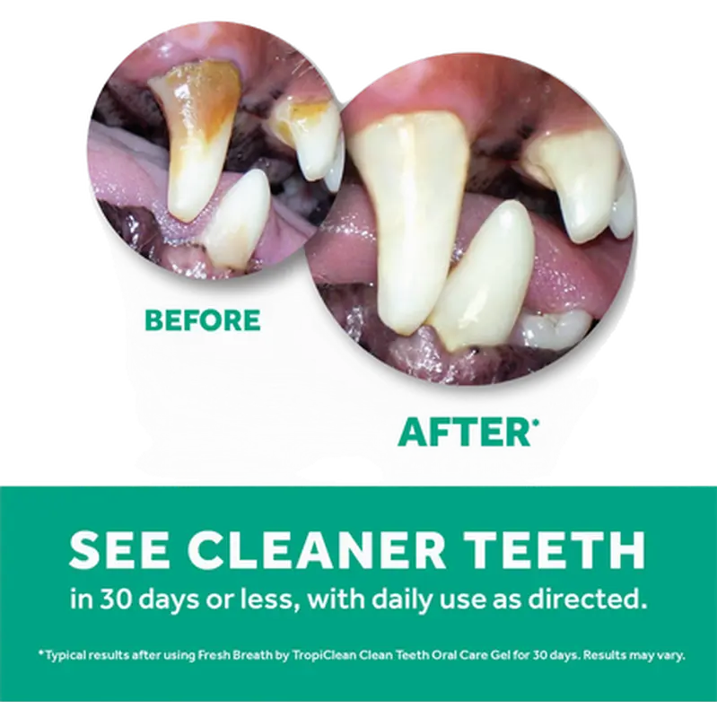 Clean Teeth OralCare Gel Cat