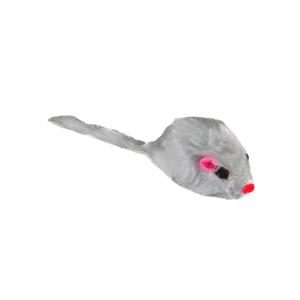 Pälsmus Med Kattmynta