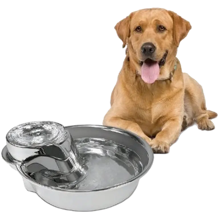 Big Max Rostfri 3,8L Silver - Drinking Fountain