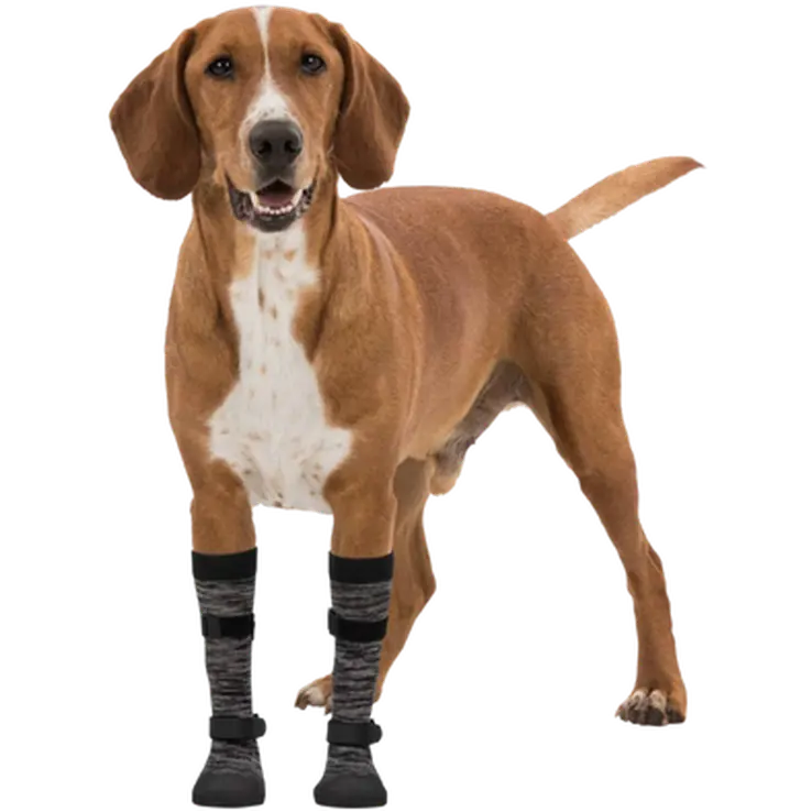 Walker Socks Paw Protection