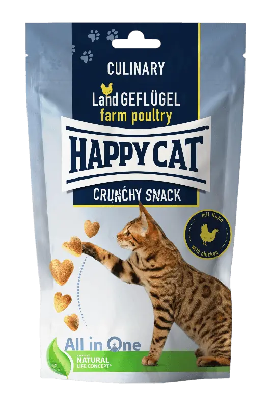 Crunchy Snack fågel/morötter