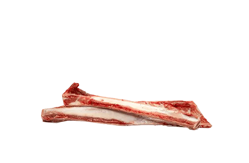 Svenska nötrevben