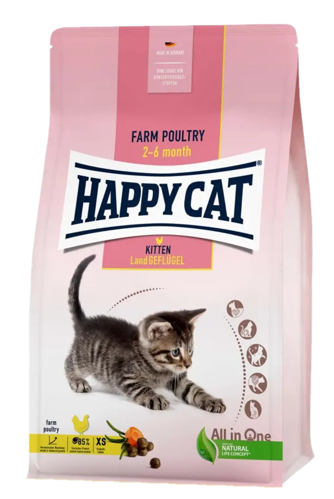 Kitten fågel - Kattfoder