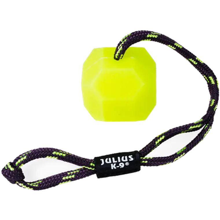 IDC Neon Fluorescent Ball Hard with Handle Dog Toy