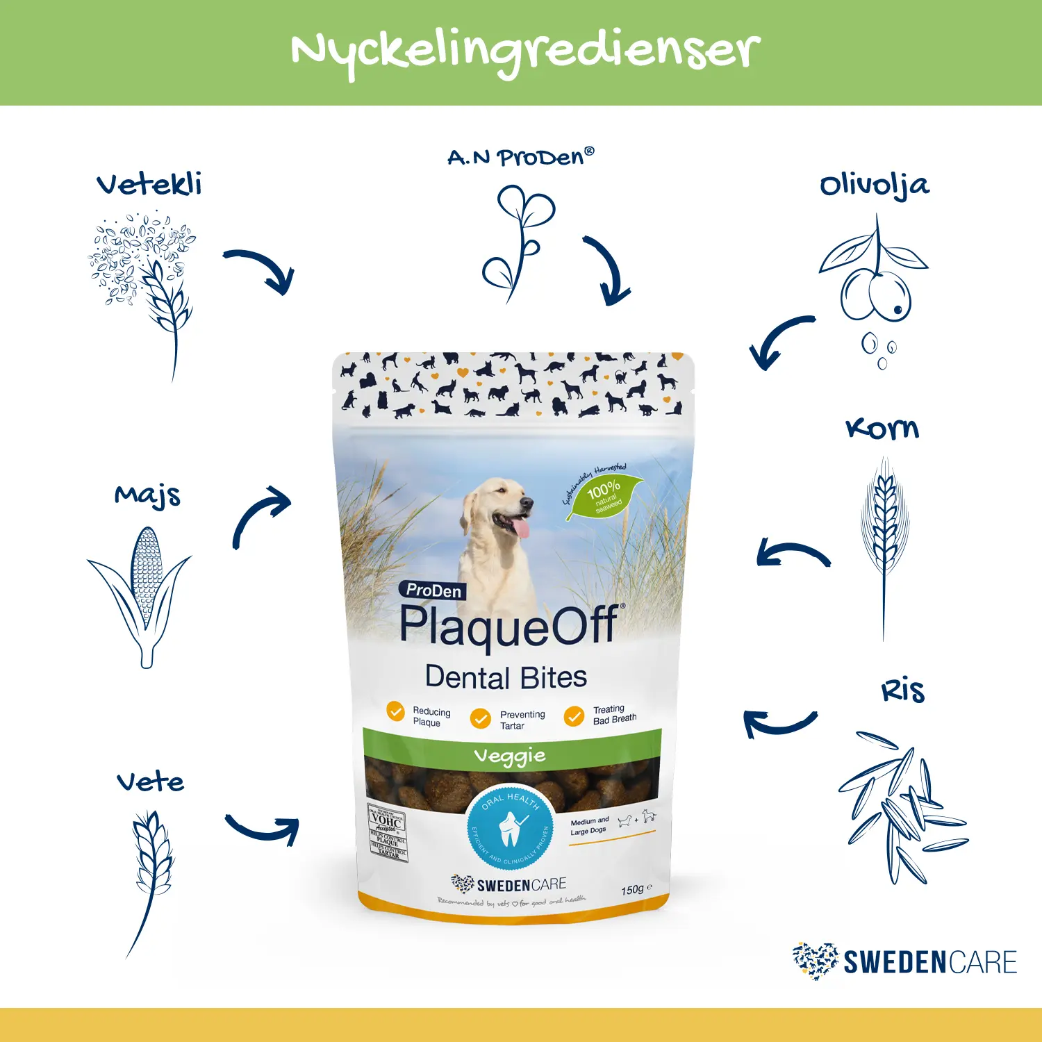 Dental Bites Medium-Large Dog