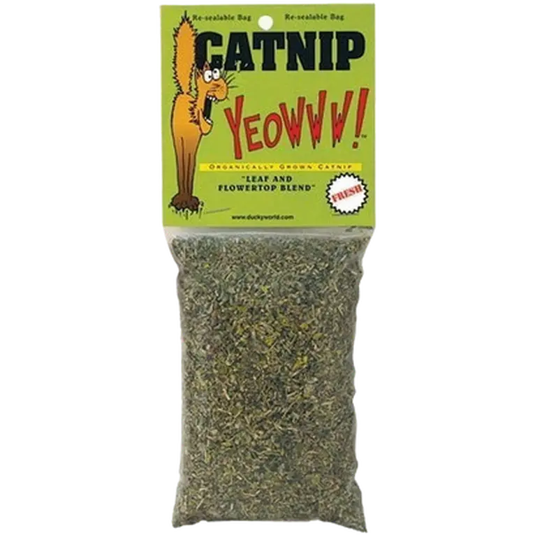 Catnip Organic Catnip