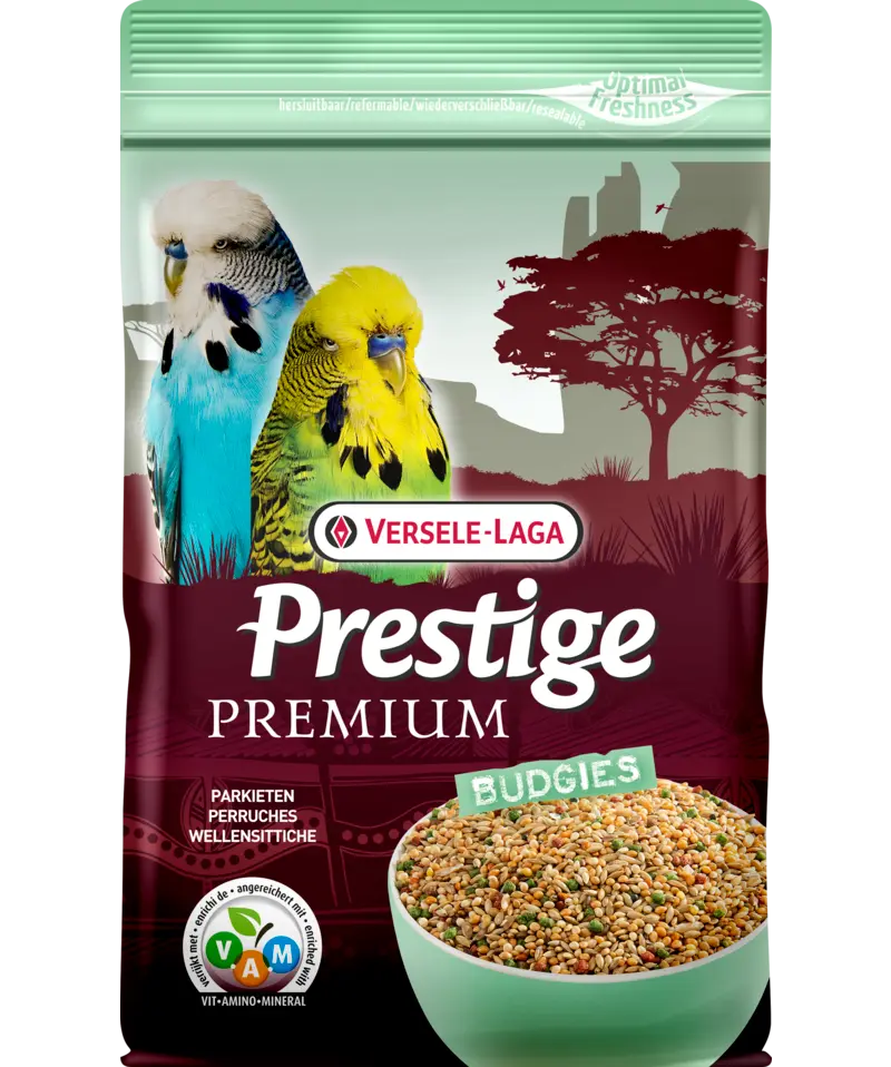 Prestige Premium Budgie (Undulat)